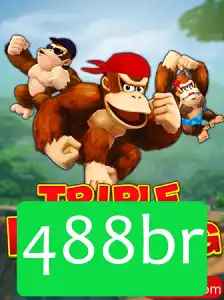 488br Promoção